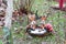 Toys hares in the garden on a stump.snow forest mushrooms