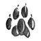 A trace of a cat\\\'s paw and claws in gray tones.