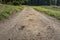 trace of the hoof horse on the sandy road in woods