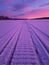 Trace of a snowmobile in the colorful frosty sunset with purple and pink colors