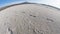 Traces on the bottom of a dried lake with a convex horizon line fisheye