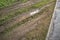 Traces of car tires on the lawn, part of sidewalk and the border separating them. Damage to grass due to transport