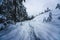 Traces through deep snow along alpine winter forest, Wildermieming, TIrol, Austria