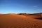 Traces in the dunes of the Sahara desert