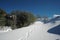 Traces Of Hiker With Snowshoes Prints In The Fresh Snow