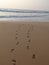 Traces of a man on a sandy, sea beach.