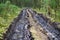 Traces of tractor or bulldozer tires in large mud. Big car tire print on ground.