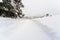 Traces of a tractor tire on snowy asphalt on a road in winter.