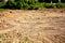 Traces Tread Construction Equipment On The Sand. Clear, sunny, summer day