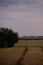 Traces in the wheat field. storm clouds in the plain in the sunset light