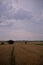 Traces in the wheat field. storm clouds in the plain in the sunset light