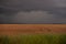 Traces in the wheat field. storm clouds in the plain in the sunset light