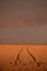 Traces in the wheat field. storm clouds in the plain in the sunset light