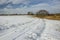 Traces of wheels on snowy dirt road, trees and clouds on blue sky in Zarzecze, Poland