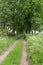 Track across fields in Lower Saxony