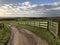 Track through bright green fields in a rural landscape, England