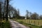 Track, daffodils, fence, field and trees in spring