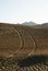 Track in gobi desert