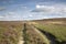 Track with Heather, North York Moors;