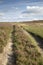 Track with Heather, North York Moors; England