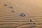 Track of human footprints on undulated sand dune.