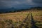 A track leads across a grassy plain