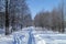 Track left by skis in beautiful wood in winter