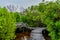 Track made of planks at the mangrove tropical nature park at Landhoo island at Noonu atoll