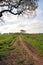 Track through meadow fields