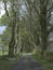 Track, Near Belstone, Dartmoor