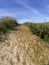 Track over grassy sand dune