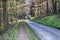 Track and road running through a forest