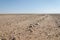 Track running through flat rocky and arid desert scenery in ancient Namib Desert of Angola