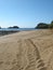 Track on the sand of Green sea turtles on the beach female laying the egg, face of the turtle