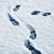 Track shoes in melting snow