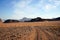 Track in the Wadi Rum