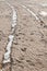 Track wheel on the beach