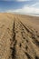 Track, wheel ruts on the Chesil Beach.