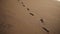 Tracking closeup footage of footprints on the golden wet sand at beach