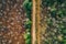 Tracking of Deforestation Through a Satellite Imagery