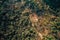 Tracking of Deforestation Through a Satellite Imagery