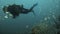 Tracking a diver near a sunken ship