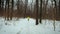 Tracking shot of man running in forest on snow covered path on winter day