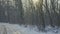 Tracking suburban empty road in snowy winter forest. The camera moves along an asphalt road on frosty sunny day. Travel