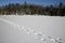 Tracks across a frozen lake