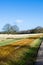 Tracks across Richmond Park