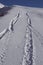 Tracks of car stop and reverse in the snow of an alpine slope.