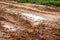 Tracks of car tires on a wet, swampy road with brown water. Country dirt road with paddles after rain