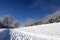 Tracks in the fresh snow