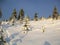 Tracks through fresh snow and trees animals mountain